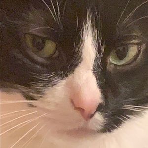 Meet your Posher, Ryan